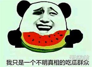 吃瓜群众adc,吃瓜群众视角下的ADC英雄风采