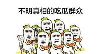 大陆吃瓜群众,揭秘娱乐圈幕后真相