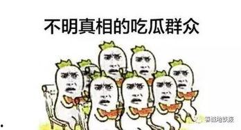 吃瓜群众必备小技巧,轻松掌握观瓜小技巧