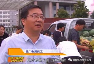 廊坊新吃瓜群众新闻报道,揭秘本地新鲜趣事