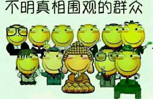 b站吃瓜群众转播,一场全民参与的娱乐盛宴