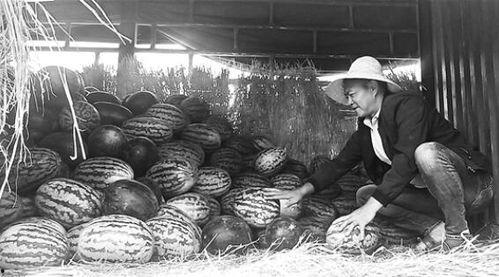 眉山吃瓜群众事件视频,街头冲突视频引发热议