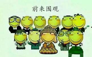 绥阳吃瓜群众是谁,网络热议背后的真实故事